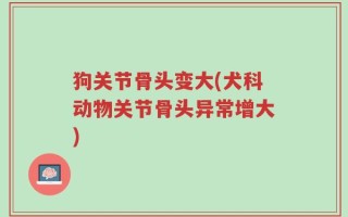狗关节骨头变大(犬科动物关节骨头异常增大)