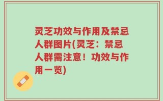 灵芝功效与作用及禁忌人群图片(灵芝：禁忌人群需注意！功效与作用一览)
