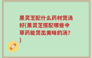 黑灵芝配什么药材煲汤好(黑灵芝搭配哪些中草药能煲出美味的汤？)