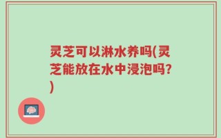 灵芝可以淋水养吗(灵芝能放在水中浸泡吗？)