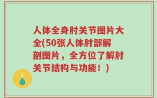 人体全身肘关节图片大全(50张人体肘部解剖图片，全方位了解肘关节结构与功能！)