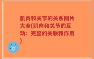 肌肉和关节的关系图片大全(肌肉和关节的互动：完整的关联和作用)