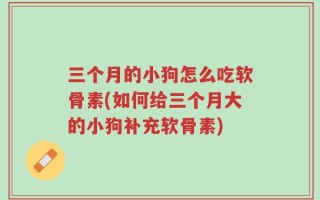 三个月的小狗怎么吃软骨素(如何给三个月大的小狗补充软骨素)