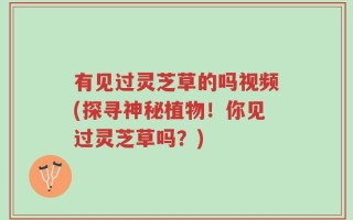 有见过灵芝草的吗视频(探寻神秘植物！你见过灵芝草吗？)