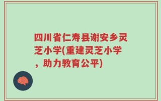 四川省仁寿县谢安乡灵芝小学(重建灵芝小学，助力教育公平)