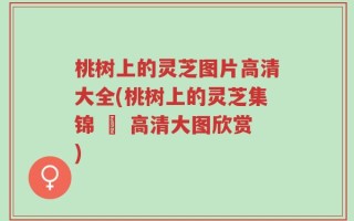 桃树上的灵芝图片高清大全(桃树上的灵芝集锦 – 高清大图欣赏)