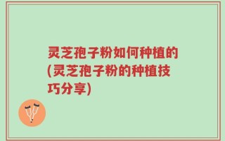 灵芝孢子粉如何种植的(灵芝孢子粉的种植技巧分享)