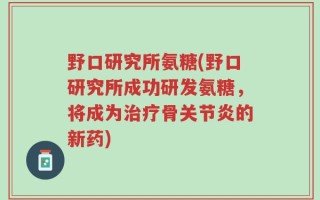 野口研究所氨糖(野口研究所成功研发氨糖，将成为治疗骨关节炎的新药)