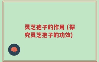 灵芝孢子的作用 (探究灵芝孢子的功效)