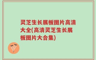 灵芝生长展板图片高清大全(高清灵芝生长展板图片大合集)
