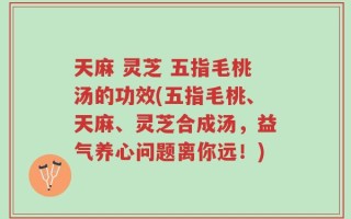 天麻 灵芝 五指毛桃汤的功效(五指毛桃、天麻、灵芝合成汤，益气养心问题离你远！)