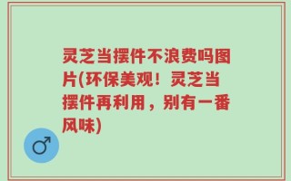 灵芝当摆件不浪费吗图片(环保美观！灵芝当摆件再利用，别有一番风味)