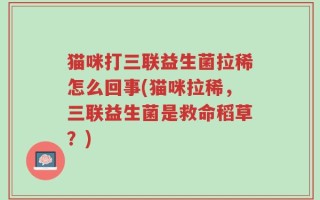 猫咪打三联益生菌拉稀怎么回事(猫咪拉稀，三联益生菌是救命稻草？)