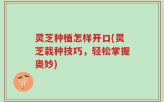 灵芝种植怎样开口(灵芝栽种技巧，轻松掌握奥妙)