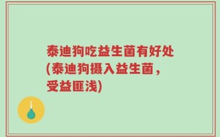 泰迪狗吃益生菌有好处(泰迪狗摄入益生菌，受益匪浅)