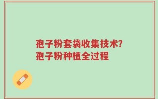 孢子粉套袋收集技术？孢子粉种植全过程