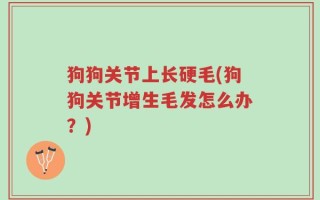 狗狗关节上长硬毛(狗狗关节增生毛发怎么办？)
