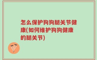 怎么保护狗狗腿关节健康(如何维护狗狗健康的腿关节)