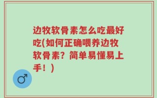边牧软骨素怎么吃最好吃(如何正确喂养边牧软骨素？简单易懂易上手！)