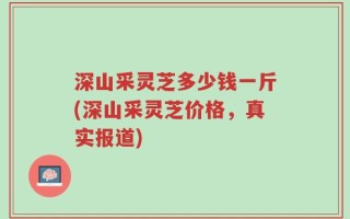 深山采灵芝多少钱一斤(深山采灵芝价格，真实报道)