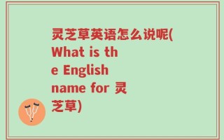 灵芝草英语怎么说呢(What is the English name for 灵芝草)