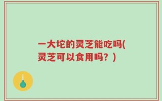 一大坨的灵芝能吃吗(灵芝可以食用吗？)