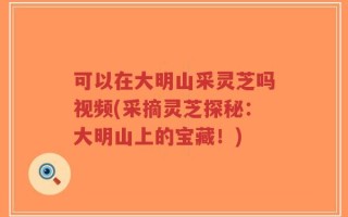 可以在大明山采灵芝吗视频(采摘灵芝探秘：大明山上的宝藏！)