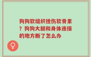 狗狗软组织挫伤软骨素？狗狗大腿和身体连接的地方断了怎么办