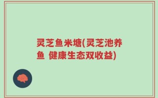 灵芝鱼米塘(灵芝池养鱼 健康生态双收益)