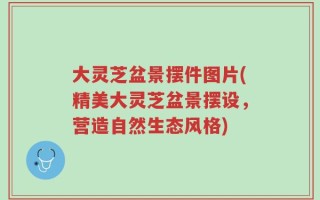 大灵芝盆景摆件图片(精美大灵芝盆景摆设，营造自然生态风格)