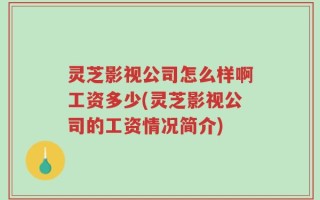 灵芝影视公司怎么样啊工资多少(灵芝影视公司的工资情况简介)