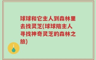 球球和它主人到森林里去找灵芝(球球陪主人寻找神奇灵芝的森林之旅)