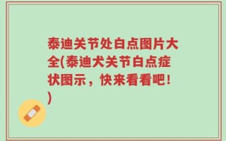 泰迪关节处白点图片大全(泰迪犬关节白点症状图示，快来看看吧！)