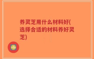 养灵芝用什么材料好(选择合适的材料养好灵芝)