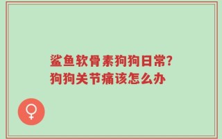 鲨鱼软骨素狗狗日常？狗狗关节痛该怎么办
