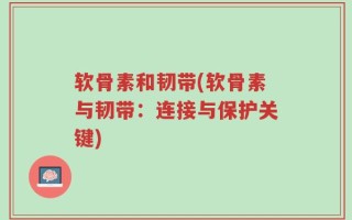 软骨素和韧带(软骨素与韧带：连接与保护关键)