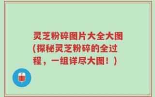 灵芝粉碎图片大全大图(探秘灵芝粉碎的全过程，一组详尽大图！)
