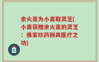 余火莲为小离取灵芝(小离获赠余火莲的灵芝：佛家珍药别具医疗之功)