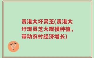 贵港大圩灵芝(贵港大圩现灵芝大规模种植，带动农村经济增长)