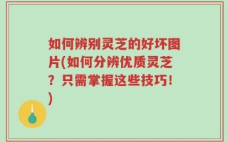 如何辨别灵芝的好坏图片(如何分辨优质灵芝？只需掌握这些技巧！)