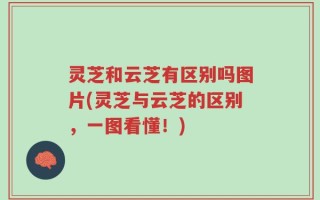 灵芝和云芝有区别吗图片(灵芝与云芝的区别，一图看懂！)