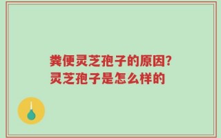 粪便灵芝孢子的原因？灵芝孢子是怎么样的