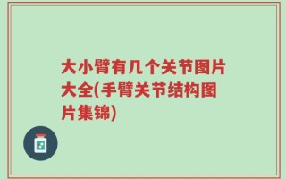 大小臂有几个关节图片大全(手臂关节结构图片集锦)