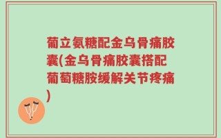 葡立氨糖配金乌骨痛胶囊(金乌骨痛胶囊搭配葡萄糖胺缓解关节疼痛)