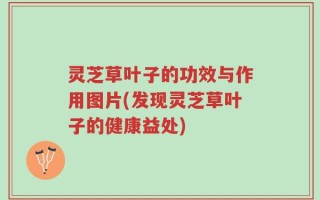 灵芝草叶子的功效与作用图片(发现灵芝草叶子的健康益处)