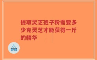 提取灵芝孢子粉需要多少克灵芝才能获得一斤的精华