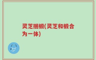 灵芝捆椴(灵芝和椴合为一体)
