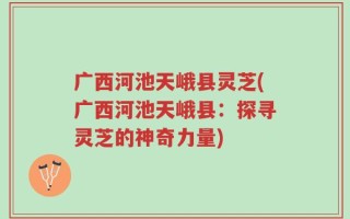 广西河池天峨县灵芝(广西河池天峨县：探寻灵芝的神奇力量)