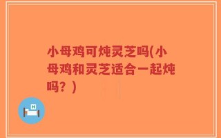 小母鸡可炖灵芝吗(小母鸡和灵芝适合一起炖吗？)