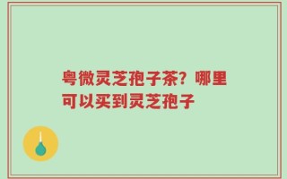 粤微灵芝孢子茶？哪里可以买到灵芝孢子